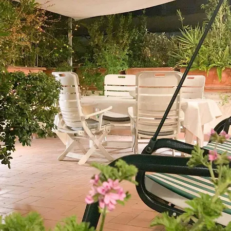 Apartment Dama Roof House *